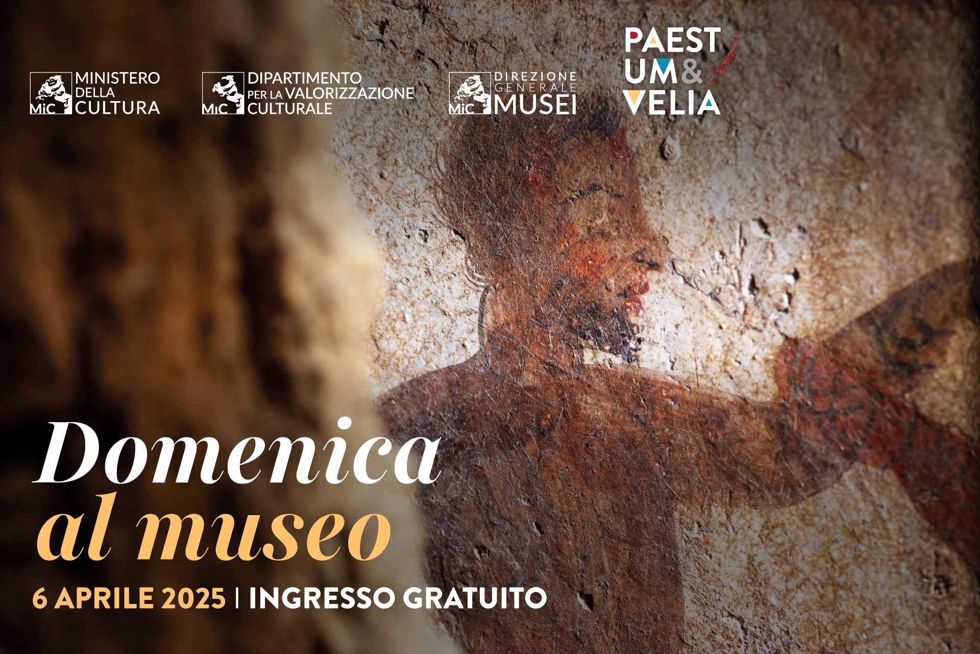 Domenica al museo