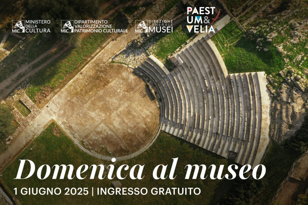 Domenica al Museo